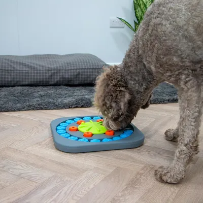 Pawzy Jeu Intelligent Chien – Roue à Friandises Stimulante