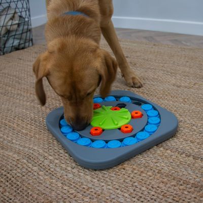 Pawzy Jeu Intelligent Chien – Roue à Friandises Stimulante