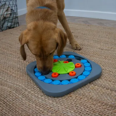 Pawzy Jeu Intelligent Chien – Roue à Friandises Stimulante