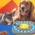 Pawzy Jeu Intelligent Chien – Roue à Friandises Stimulante