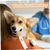 Pawzy 2 Jouets cigarette rigolos pour chien