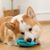 Zoomtopia Jouet à mâcher en silicone pour chien