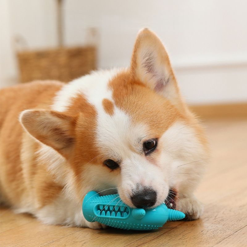 Zoomtopia Jouet à mâcher en silicone pour chien