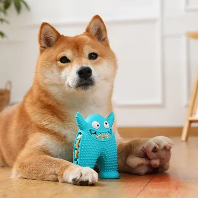 Zoomtopia Jouet à mâcher en silicone pour chien