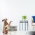 Pawzy Jouet Ralentisseur de Repas pour Chien