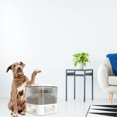 Pawzy Jouet Ralentisseur de Repas pour Chien