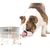Pawzy Jouet Ralentisseur de Repas pour Chien