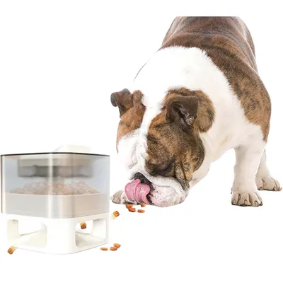 Pawzy Jouet Ralentisseur de Repas pour Chien