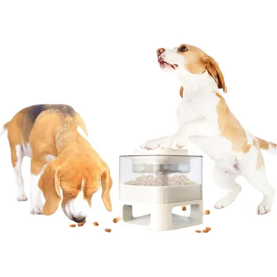 Pawzy Jouet Ralentisseur de Repas pour Chien