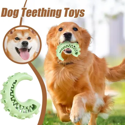 Pawzy üllbares Tintenfisch-Kauspielzeug für Hunde (Grün)