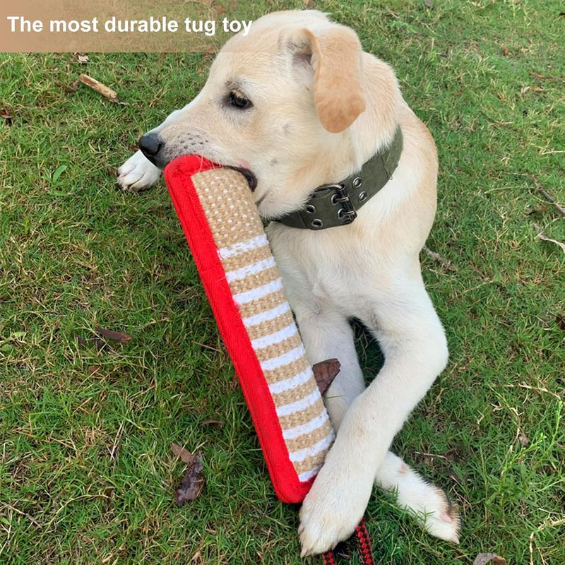 Pawzy Jouet saucisse en jute pour chien