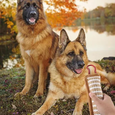 Pawzy Jouet saucisse en jute pour chien