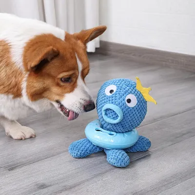 Pawzy Jouet couineur pour chien