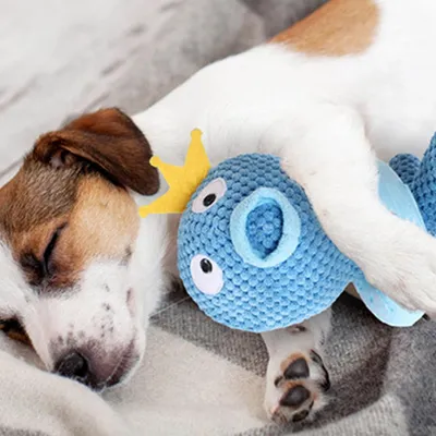 Pawzy Jouet couineur pour chien