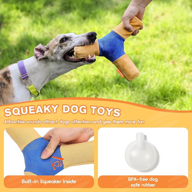 Pawzy Disque couineur pour chien - Durable et interactif