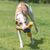Pawzy Disque couineur pour chien - Durable et interactif