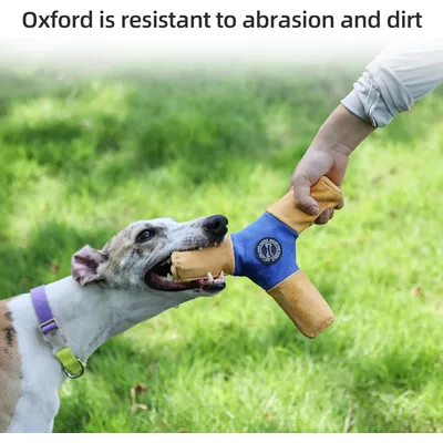 Pawzy Disque couineur pour chien - Durable et interactif