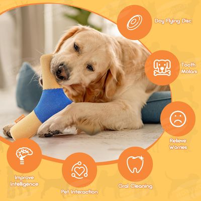 Pawzy Disque couineur pour chien - Durable et interactif