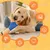 Pawzy Disque couineur pour chien - Durable et interactif