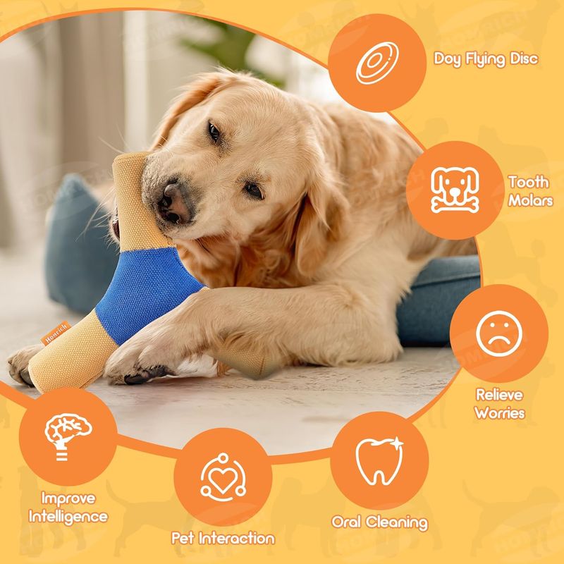 Pawzy Disque couineur pour chien - Durable et interactif