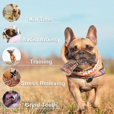 Pawzy Jouet à mâcher durable pour chien - Stimulant et hygiénique
