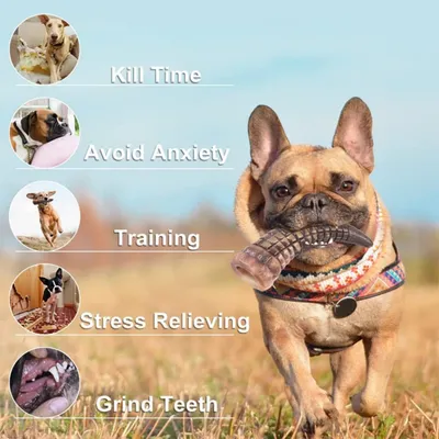 Pawzy Jouet à mâcher durable pour chien - Stimulant et hygiénique