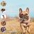 Pawzy Jouet à mâcher durable pour chien - Stimulant et hygiénique