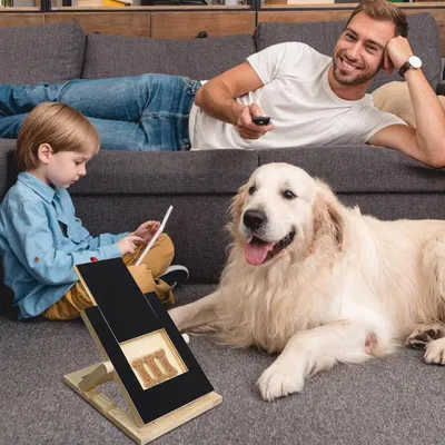 Pawzy Poste rascador ajustable para perros