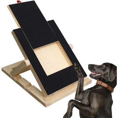 Pawzy Boîte à gratter réglable pour chiens