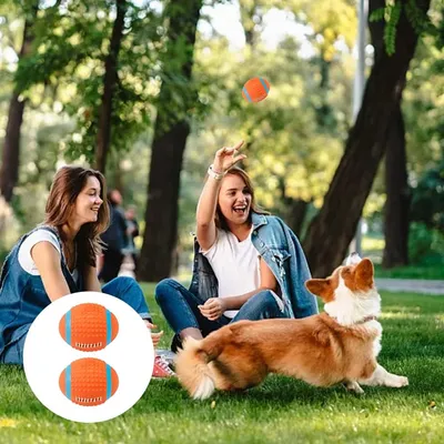 Pawzy Balle à mâcher sonore pour chien