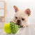 Pawzy Balle silicone interactive pour chien
