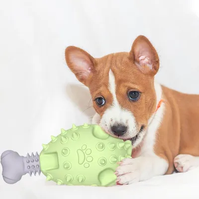 Pawzy Jouet dentaire pour chien - Patte de poulet à mâcher