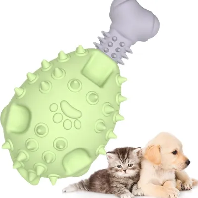 Pawzy Jouet dentaire pour chien - Patte de poulet à mâcher