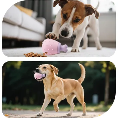 Pawzy Jouet distributeur de friandises pour chien