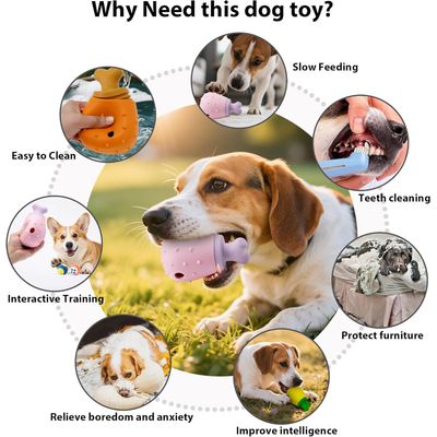 Pawzy Jouet distributeur de friandises pour chien