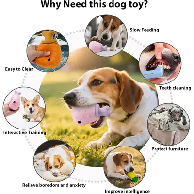 Pawzy Jouet distributeur de friandises pour chien