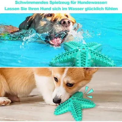 Pawzy Jouet à mâcher dentaire pour chien - Bleu