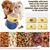 Pawzy Jouet stimulant pour chat - Forme chouette