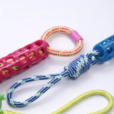 Pawzy Jouet dentaire double anneau pour chien - Orange