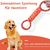 Pawzy Jouet dentaire double anneau pour chien - Orange