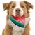 Pawzy Jouet glacé en forme de fruit pour chiot