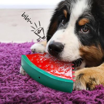 Pawzy Jouet glacé en forme de fruit pour chiot