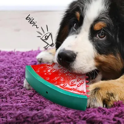 Pawzy Jouet glacé en forme de fruit pour chiot