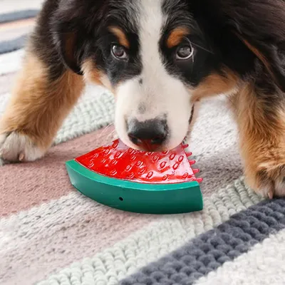 Pawzy Jouet glacé en forme de fruit pour chiot