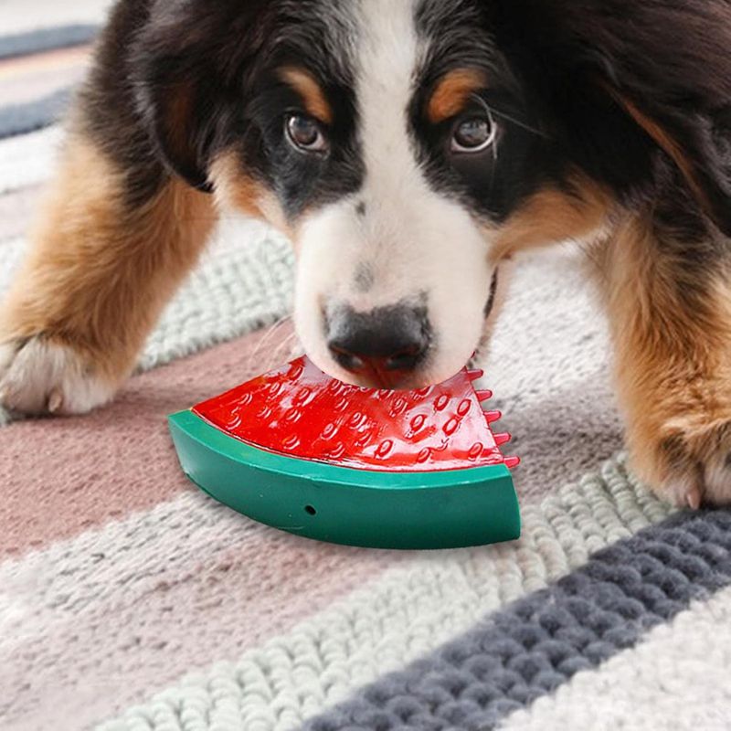 Pawzy Jouet glacé en forme de fruit pour chiot