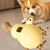 Pawzy Distributeur de friandises intelligent