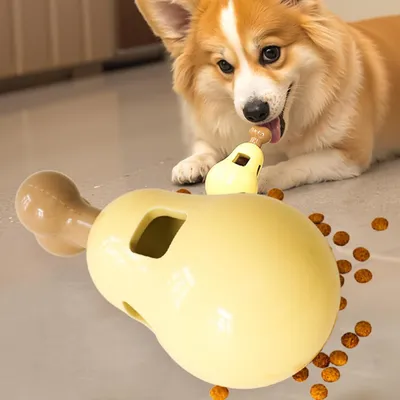 Pawzy Distributeur de friandises intelligent