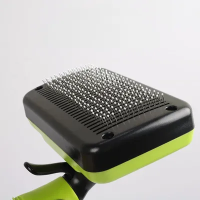 Zoomtopia Kit de toilettage professionnel pour animaux de compagnie