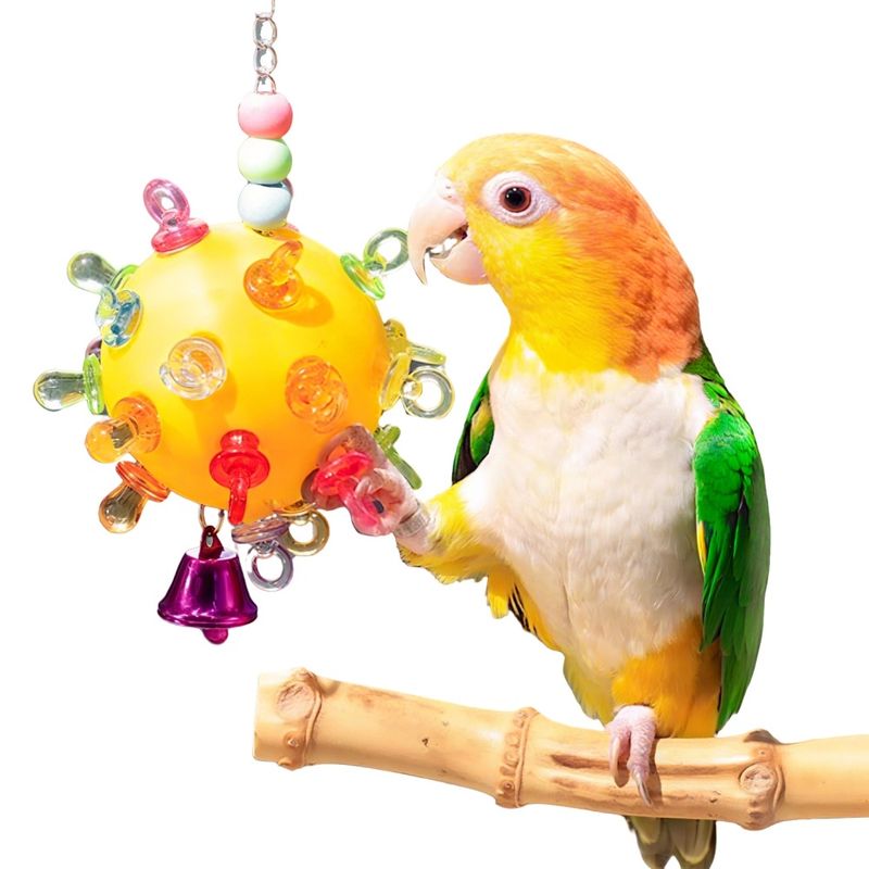 Zoomtopia Balle étoile jouet pour oiseau