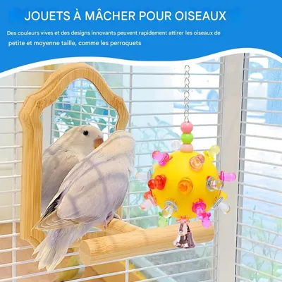 Zoomtopia Balle étoile jouet pour oiseau